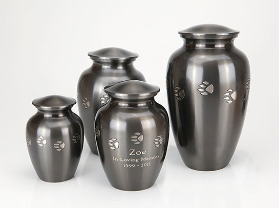 Paw Print Series (BV300)