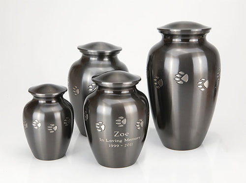 Paw Print Series (BV300)